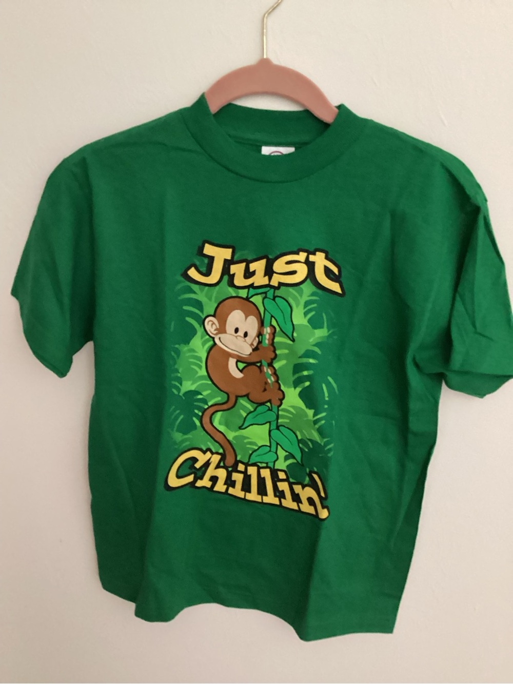 Delta Green 'Just Chillin' Monkey Graphic Tee